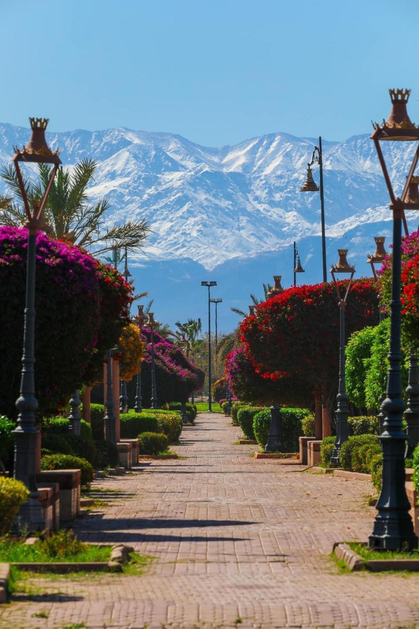 Riad Majestic Marrakech Marakéš Exteriér fotografie
