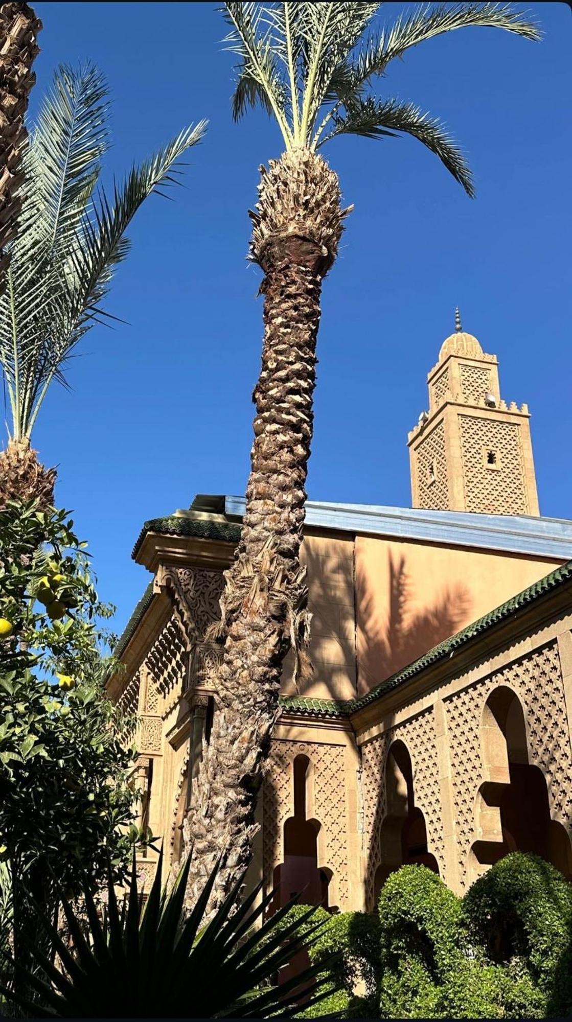 Riad Majestic Marrakech Marakéš Exteriér fotografie